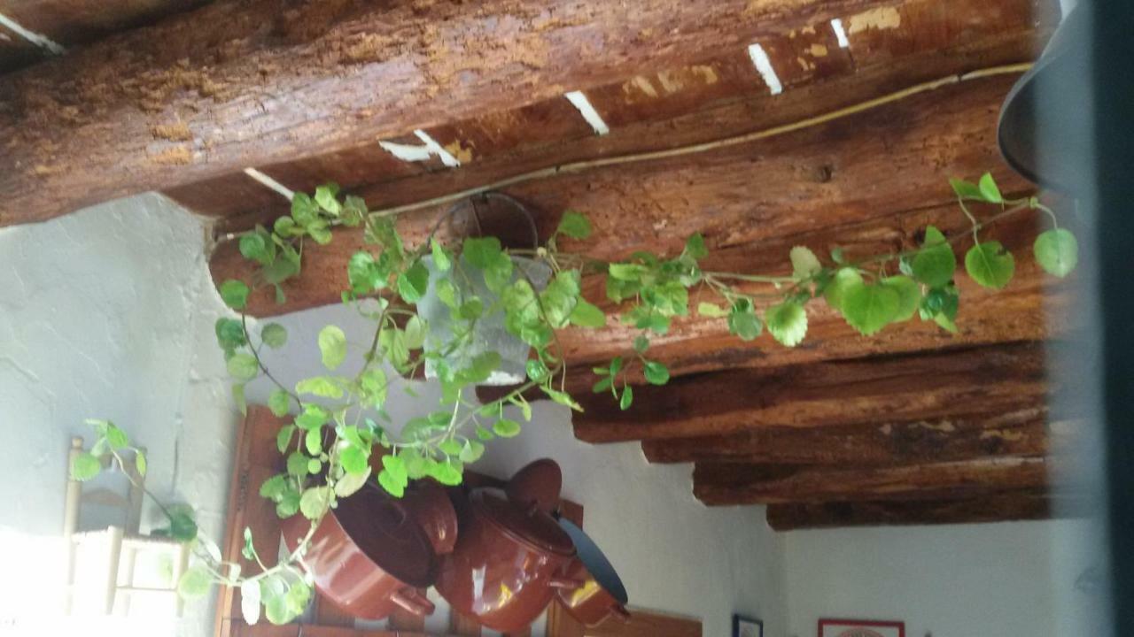 La Casa De La Acequia Casa de hóspedes Serón Exterior foto